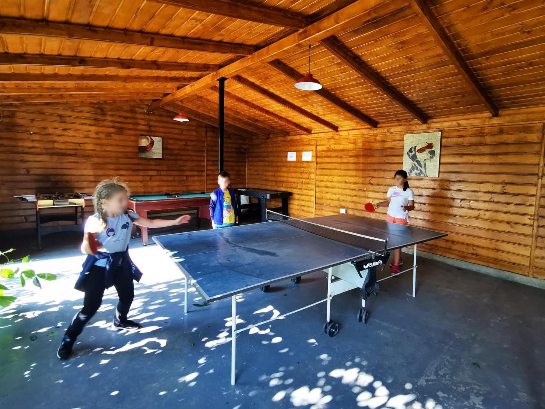 Pensiunea Casa Anca アガピア エクステリア 写真